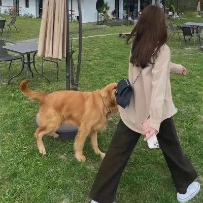 无限的爱